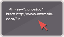 rel canonical