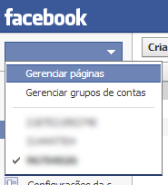 Gerenciar Páginas Power Editor