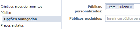 Público Personalizado Power Editor