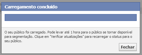 Carregamento de Público Power Editor