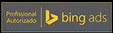 profissional autorizado bing ads